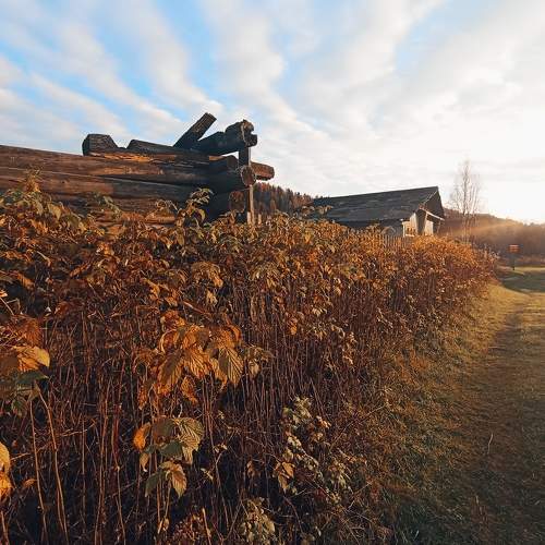 Photo #8914891