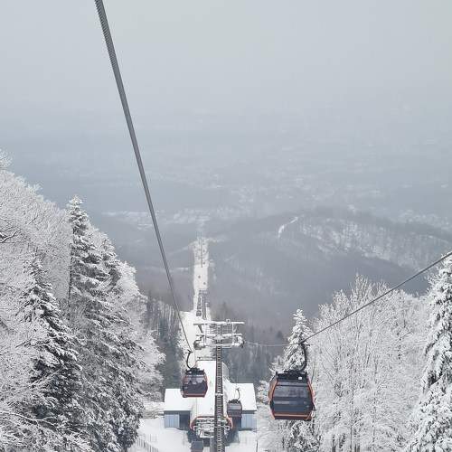 Winter