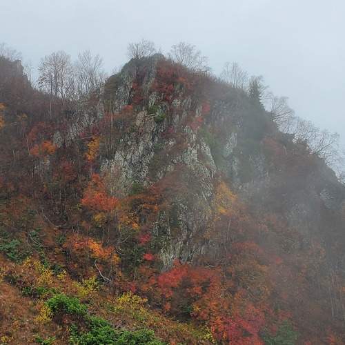 Photo #8915249