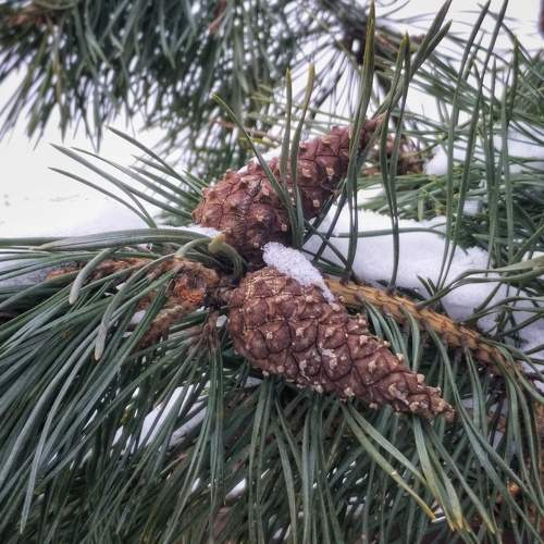 Photo #8915263