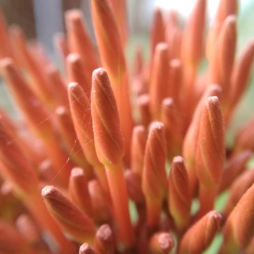 Photo #8915302