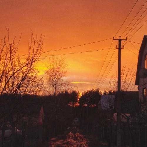 Photo #8915307