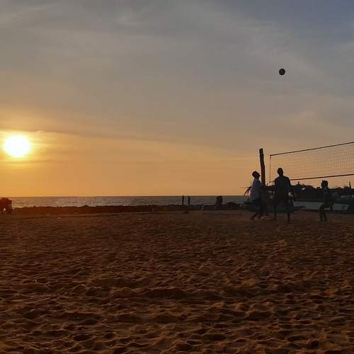 Photo #8915482
