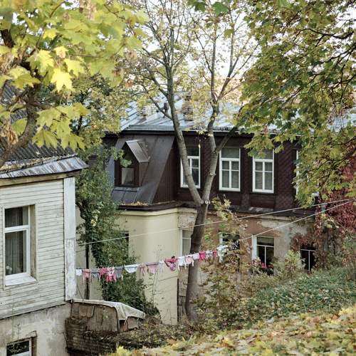 Photo #8915618