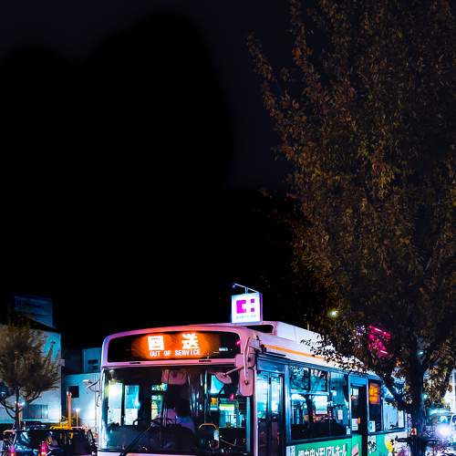 Photo #8915786
