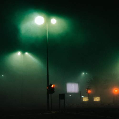 Photo #8915801