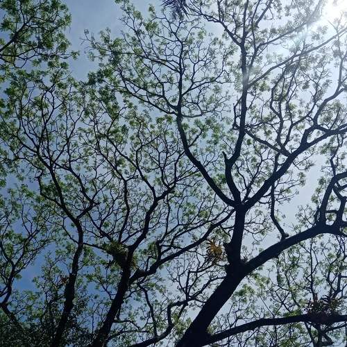 Photo #8915832