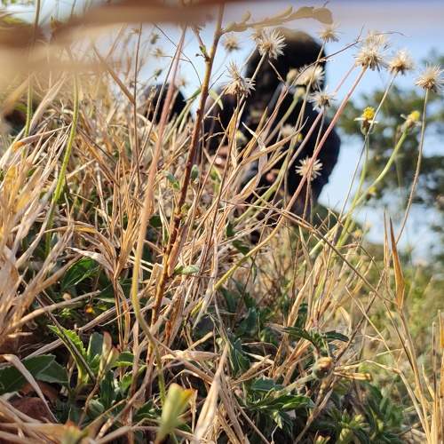 Photo #8915836