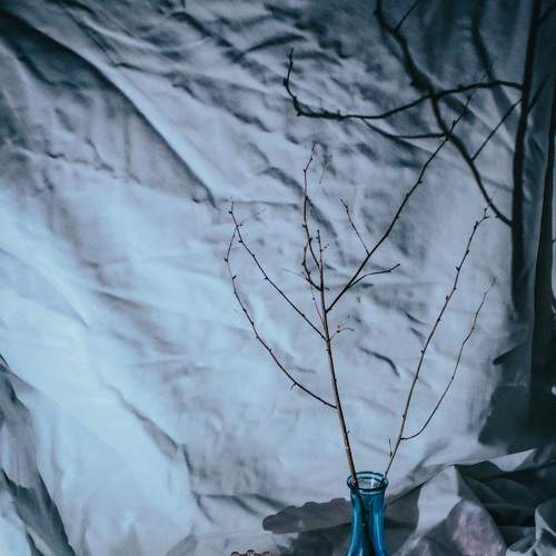 Photo #8915850