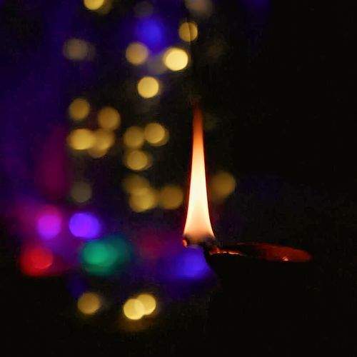 Photo #8915853