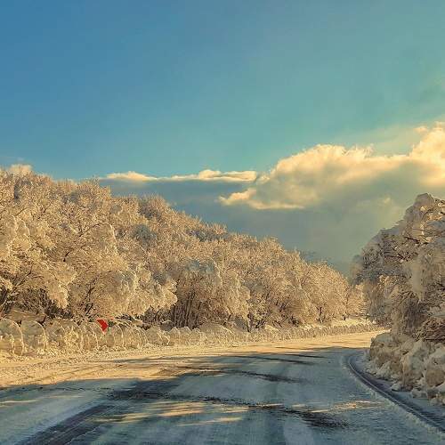 Photo #8915864
