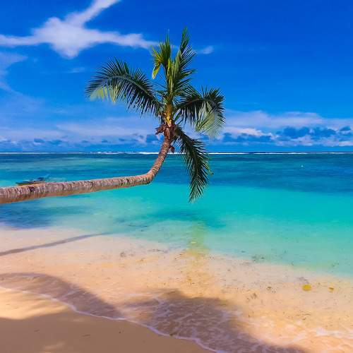 Photo #8915980