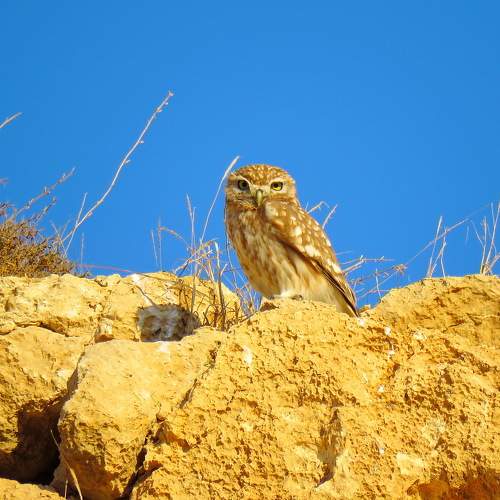 Photo #8916072