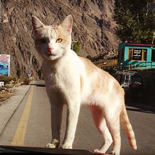 Photo #8916180