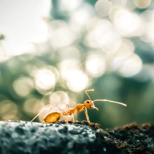 Photo #8916202