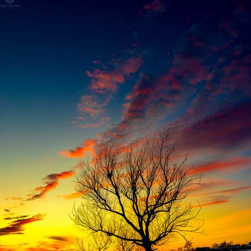 Photo #8916356