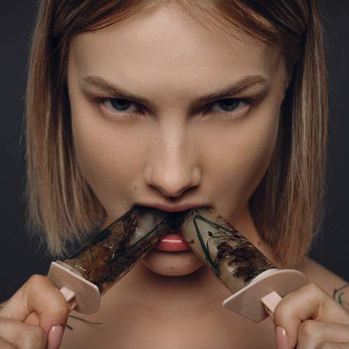Photo #8916494