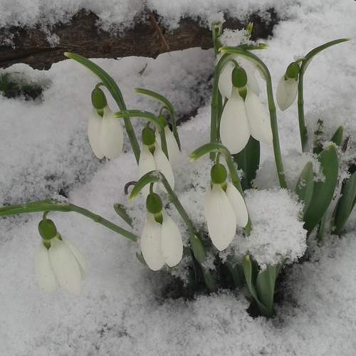 Photo #8916783