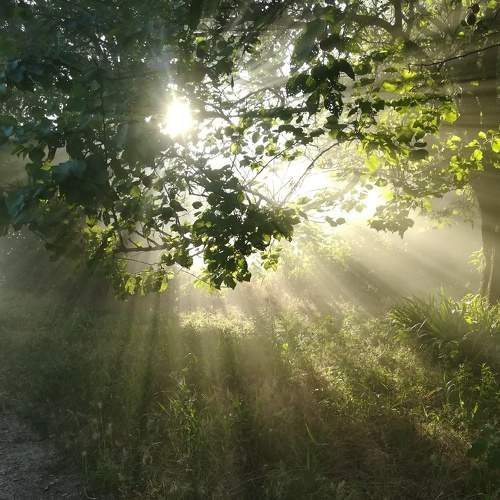 Photo #8916885