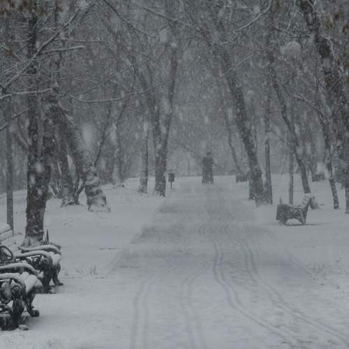 Photo #8916908