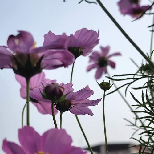 Photo #8916934