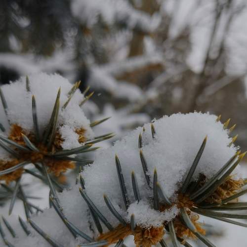 Photo #8916946