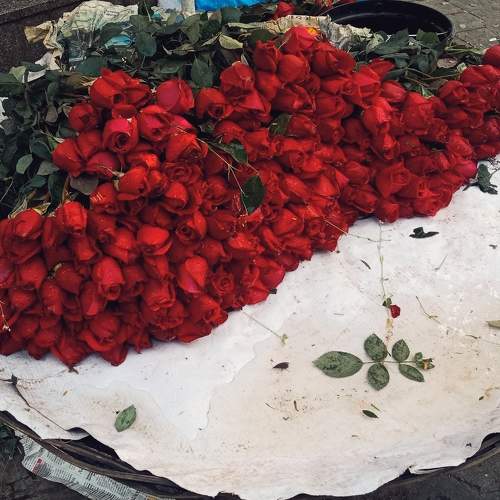 Photo #8916998