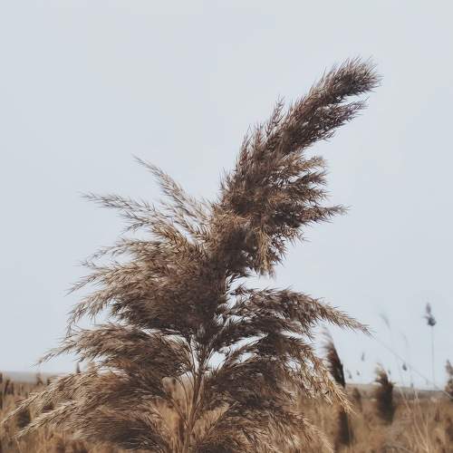 Photo #8917032
