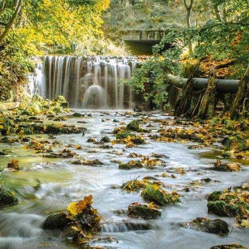 Photo #8917045