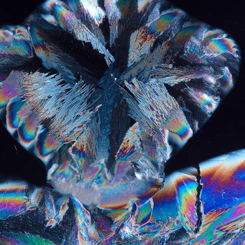 Photo #8917053