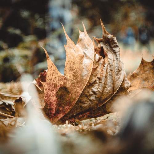 Photo #8917218