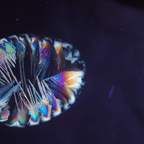 Photo #8917291
