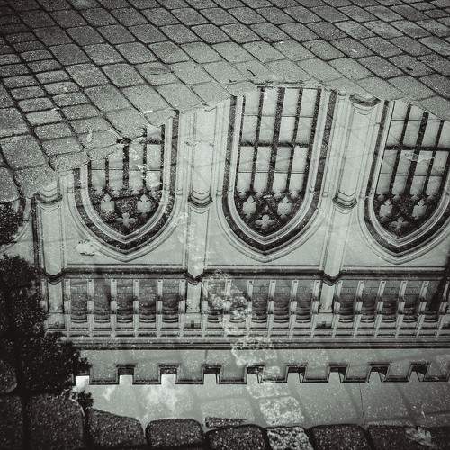 Photo #8917406