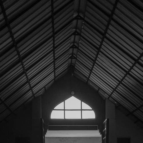 Photo #8917434