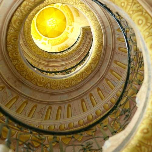 Photo #8917468