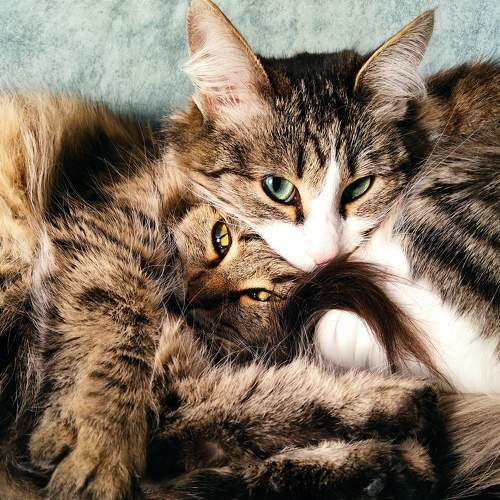 Photo #8917565