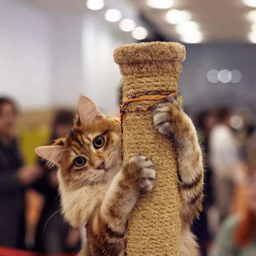 Photo #8917687