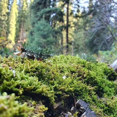 Photo #8917769