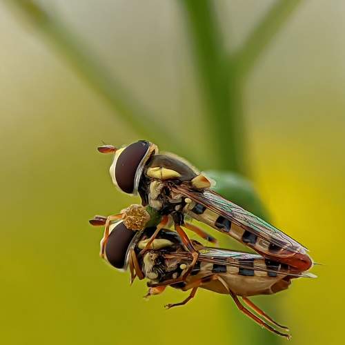 Photo #8917844
