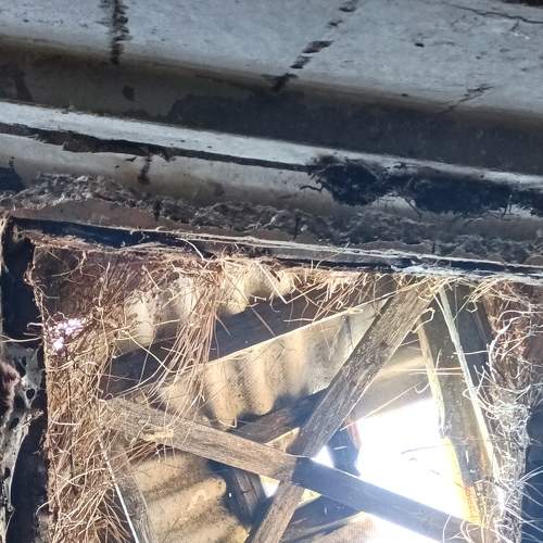 Photo #8917925