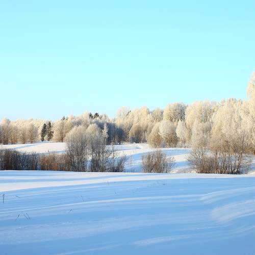Photo #8917939