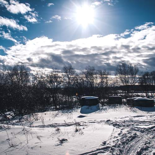 Photo #8918005