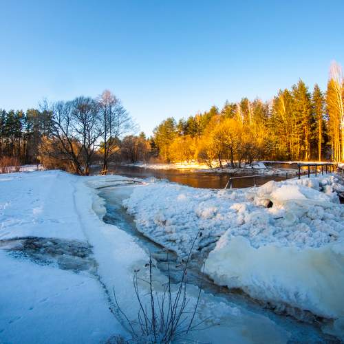 Photo #8918051