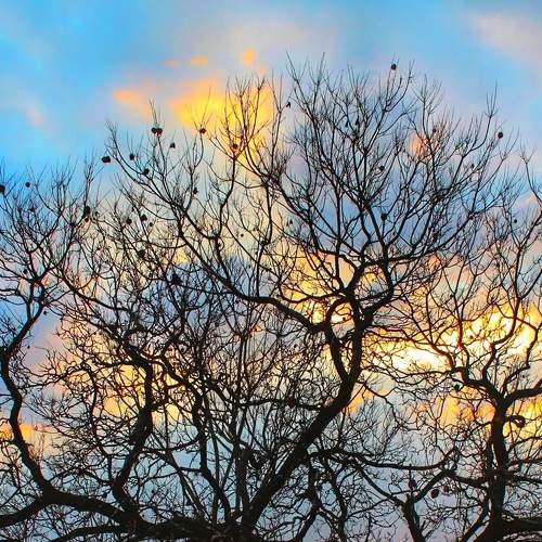 Entardecer