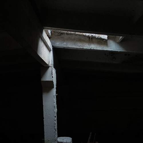 Photo #8918151