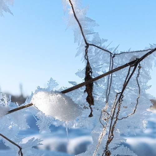 Photo #8918152