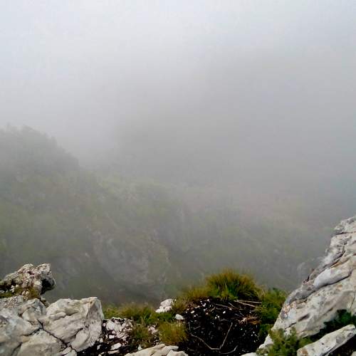 Photo #8918314