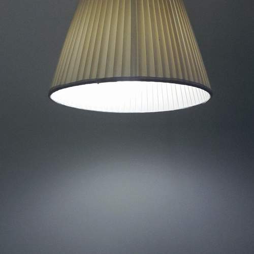 Photo #8918428