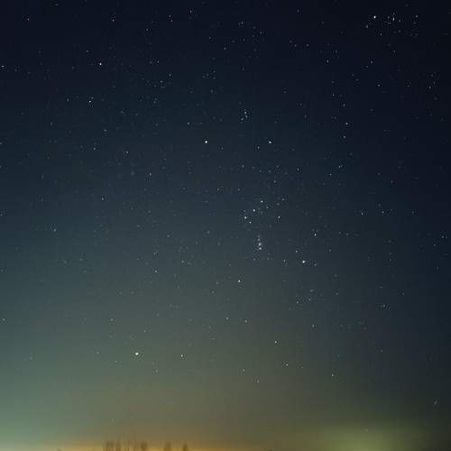 Photo #8918514