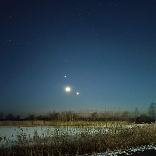 Photo #8918606